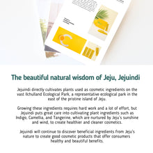 [JEJU INDI] Vitamin C Bubble Powder Cleanser 30ea image 3